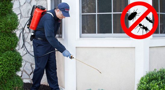 Çınarcık Dezenfeksiyon böcek ilaçlama ve haşere kontrolü — ilaclama-tr.com